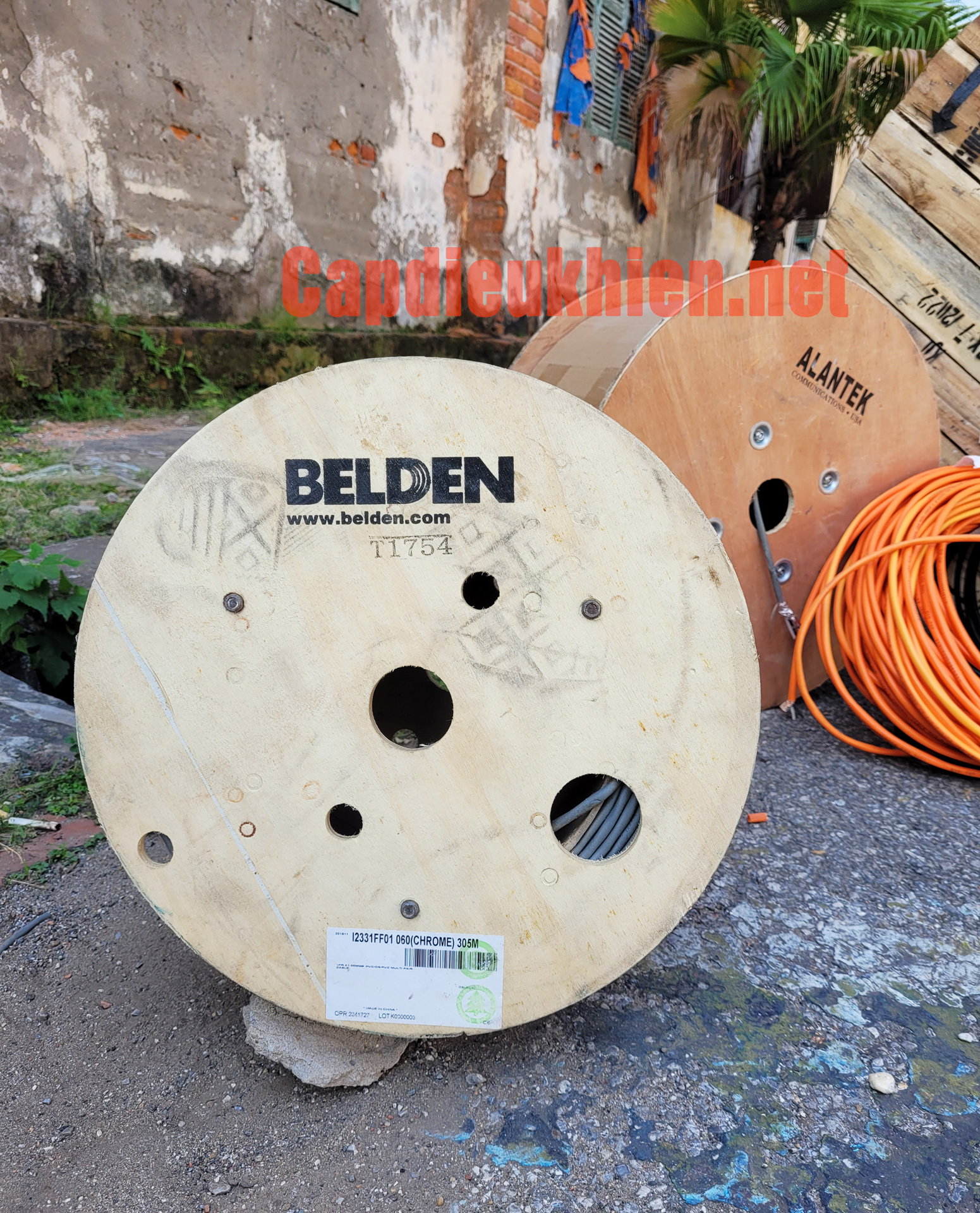 Cáp Belden i2331ff01 chính hãng