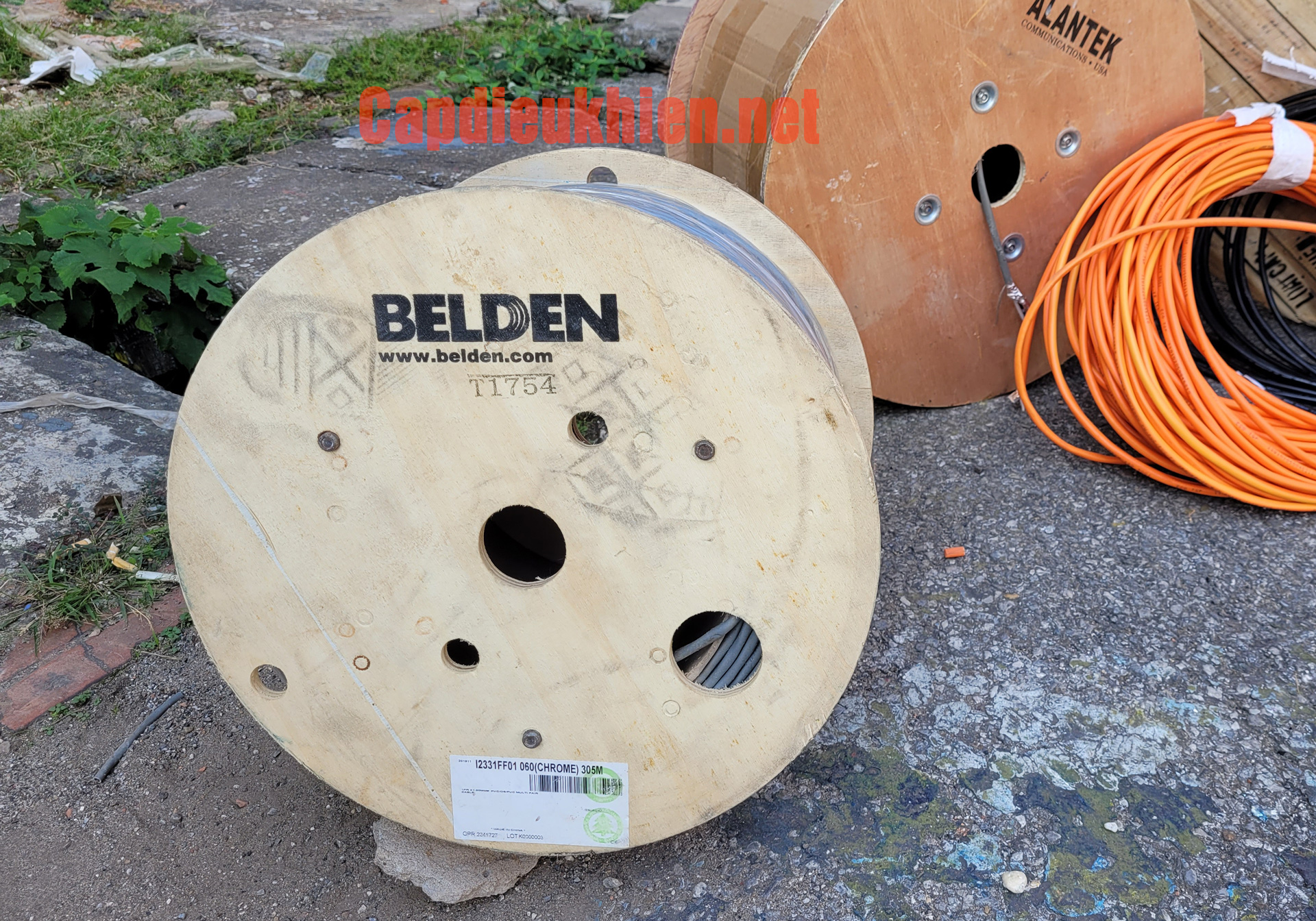 cap-belden-i2331ff01