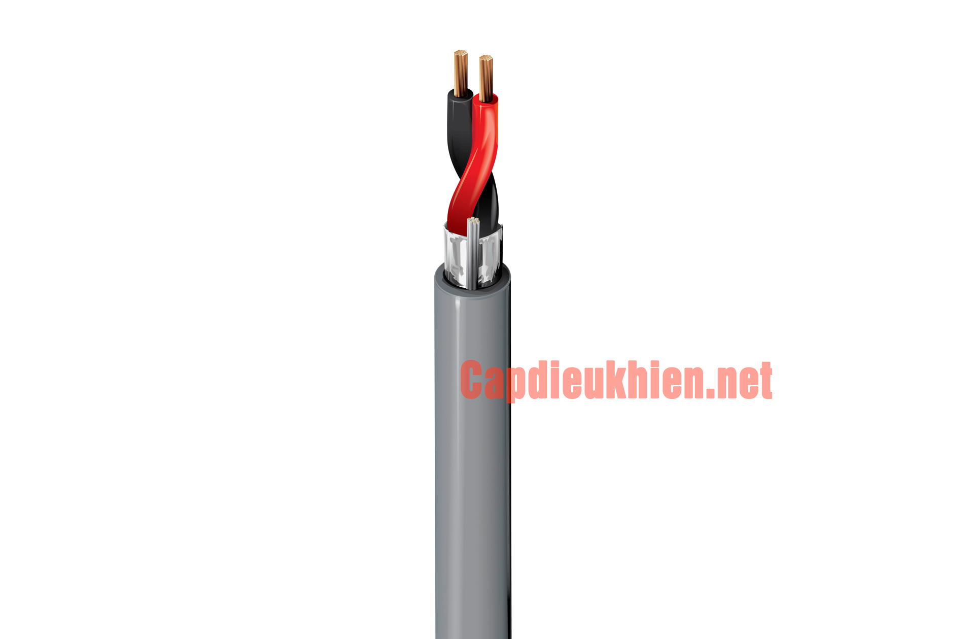 Cấu trúc cáp Belden 5300FE